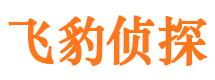 平武出轨调查